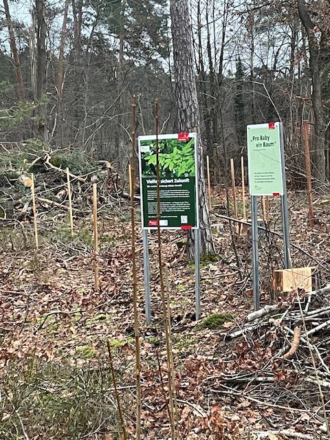 Bäume für Babys Pflanzaktion