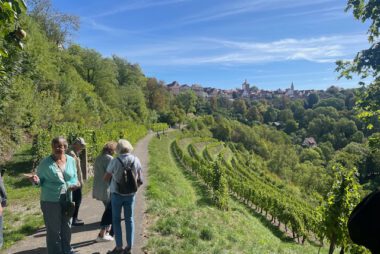 Ausflugsgruppe Weinberg Rothenburg o.d.T.