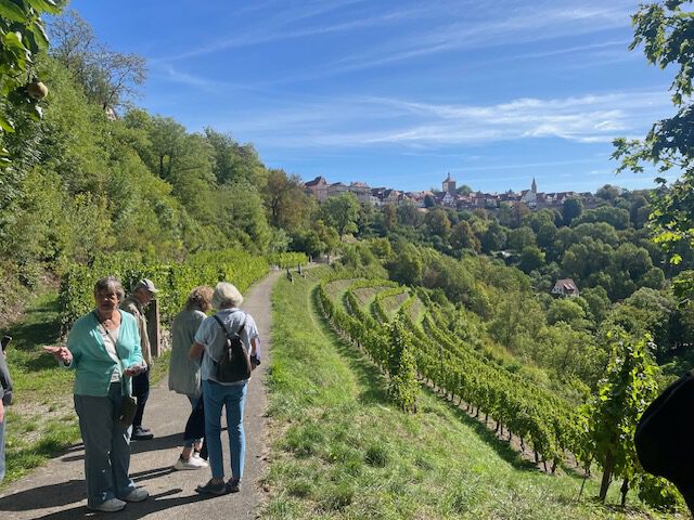 Ausflugsgruppe Weinberg Rothenburg o.d.T.